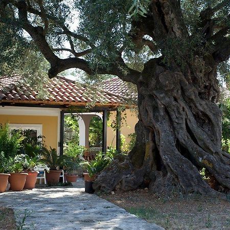 Villa Christina Zakynthos Town Exterior photo